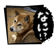 846560674