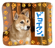 846560676