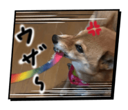 846560679