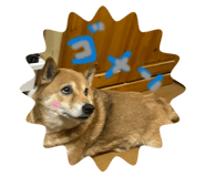846560680