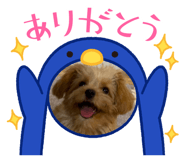 846560746