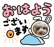 846560748