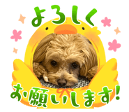 846560749