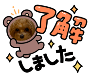 846560750