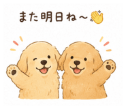 846561067