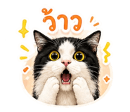 846568340