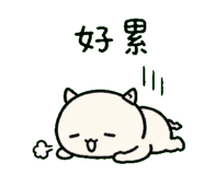 846569385