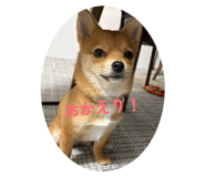 846570755