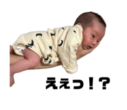 846571256