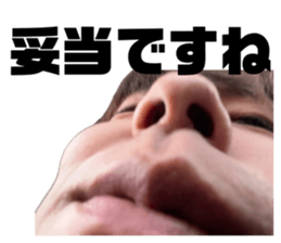 846571384