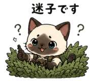 846571572