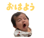 846571659