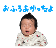 846571665