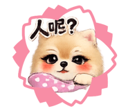 846573064