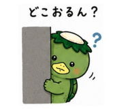 846574455