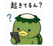 846574458