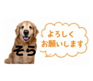 846586505