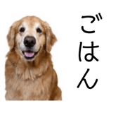 846586512