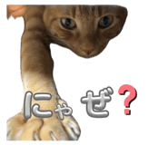 846587456
