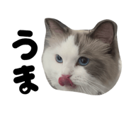 846587945