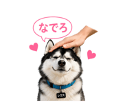 846588113
