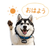 846588117