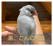 846588739