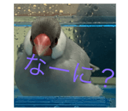 846588740