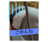 846588745