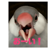 846588748