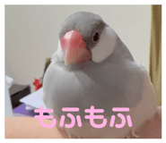 846588749