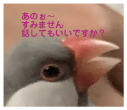 846588750