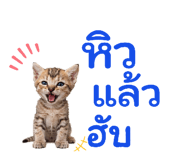 846603087