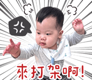 846605316