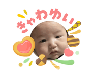 846605355