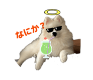 846605667