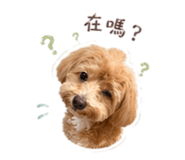 846605756