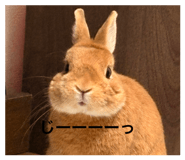 846606432