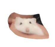 846606663