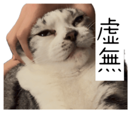846606887