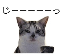 846606888