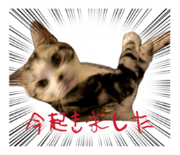 846606894