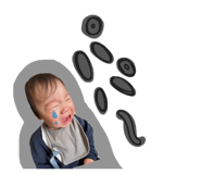 846606978