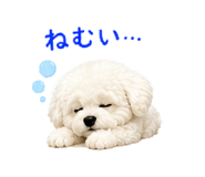 846607454