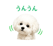 846607466