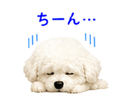 846607479