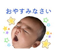 846607582