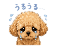 846607815