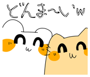 846607900