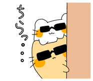 846607902